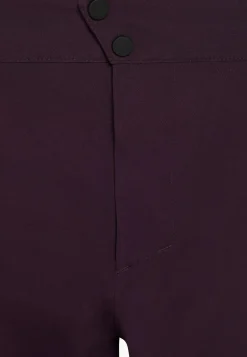 Ski|Regenbroek|Jack Wolfskin Alpspitze Tour 3l Pants M midnight plum