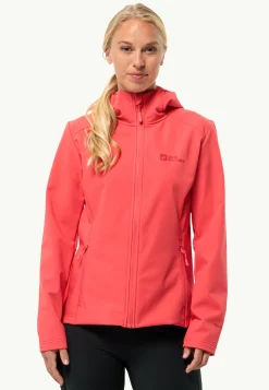Lifestyle|Wandelen|Jack Wolfskin Bornberg Hoody W
