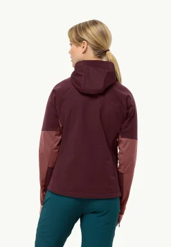 Wandelen|Voor- En Najaarsjacks/-Jassen|Jack Wolfskin Brisstal Hoody W