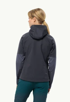 Wandelen|Voor- En Najaarsjacks/-Jassen|Jack Wolfskin Brisstal Hoody W