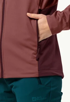 Wandelen|Voor- En Najaarsjacks/-Jassen|Jack Wolfskin Brisstal Hoody W