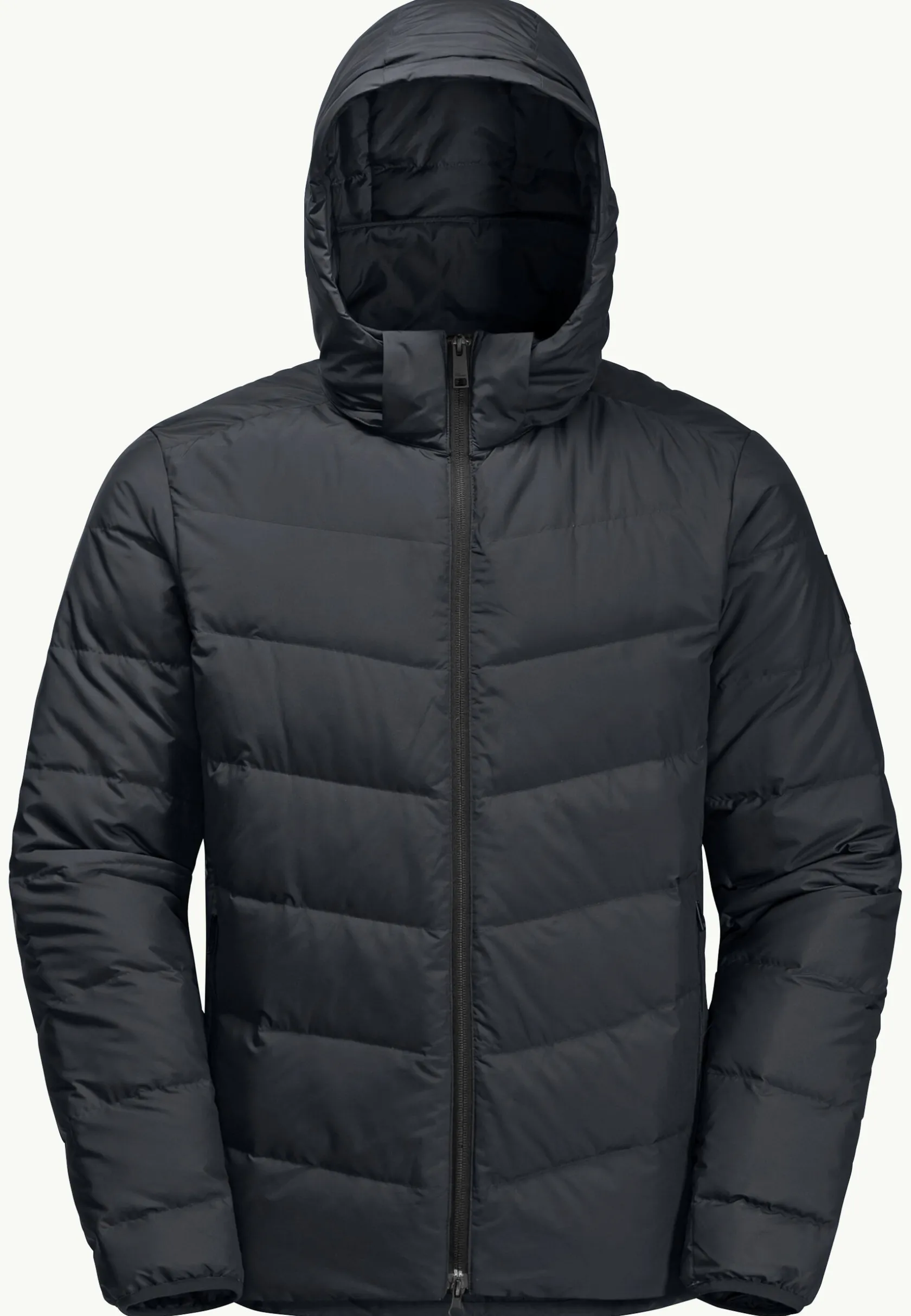 Lifestyle|Voor- En Najaarsjacks/-Jassen|Jack Wolfskin Colonius Jkt M Rds