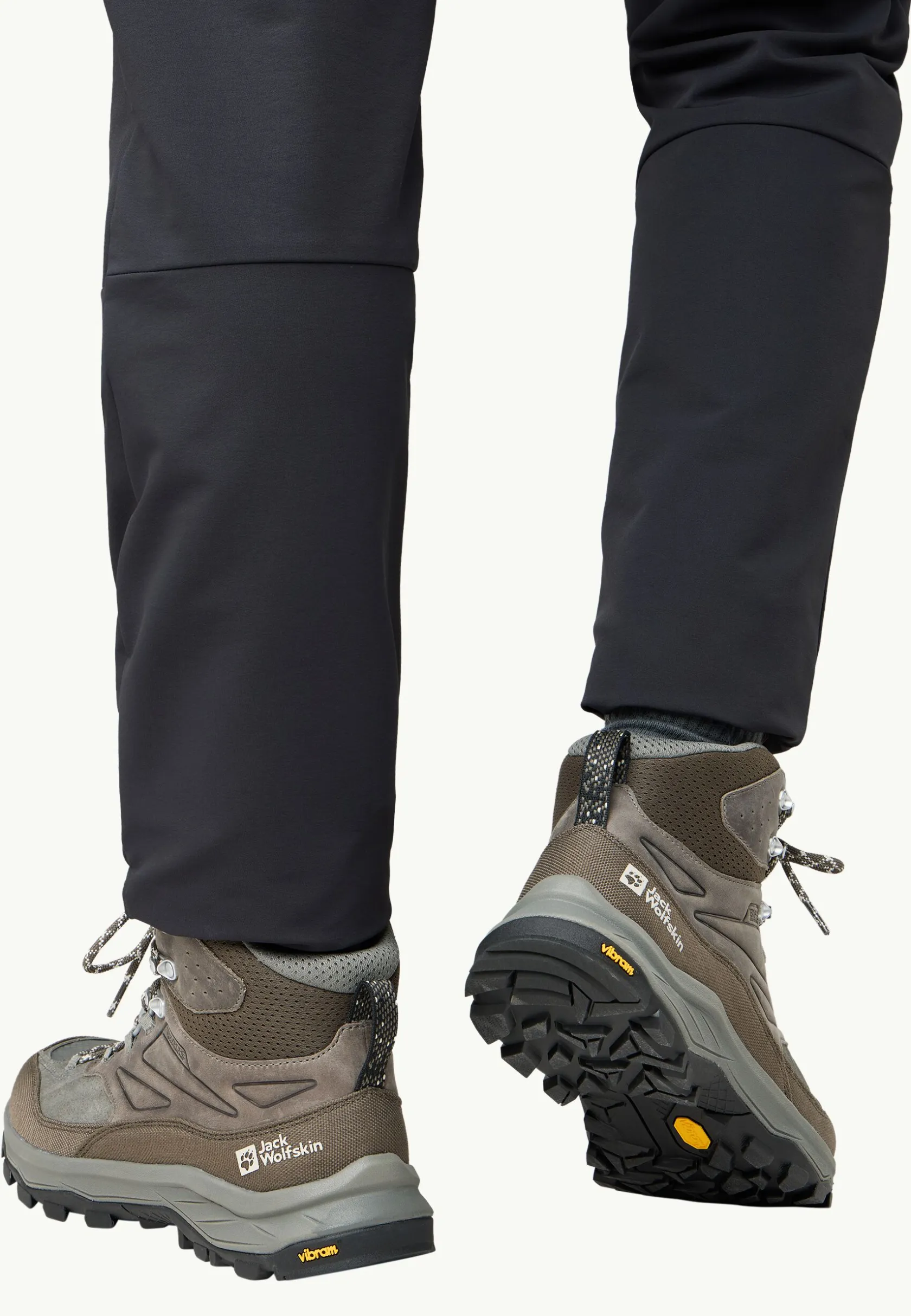 Wandelen|Wandelschoenen|Jack Wolfskin Cyrox Texapore Mid M