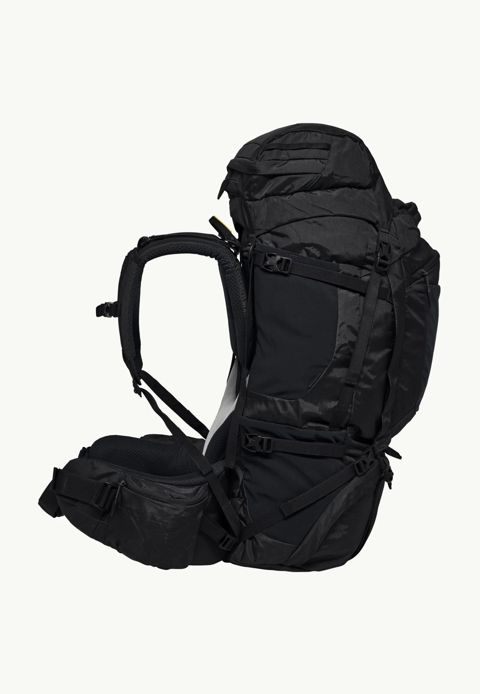 Wandelrugzakken|Trekkingrugzakken|Jack Wolfskin Denali 65|10 Men