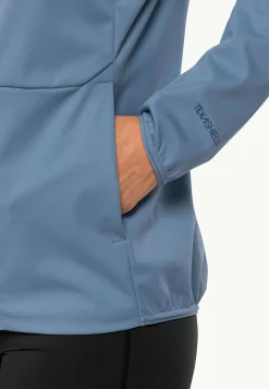 Wandelen|Voor- En Najaarsjacks/-Jassen|Jack Wolfskin Feldberg Hoody W
