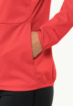 Wandelen|Voor- En Najaarsjacks/-Jassen|Jack Wolfskin Feldberg Hoody W