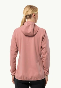 Wandelen|Voor- En Najaarsjacks/-Jassen|Jack Wolfskin Feldberg Hoody W