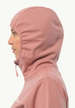 Wandelen|Voor- En Najaarsjacks/-Jassen|Jack Wolfskin Feldberg Hoody W