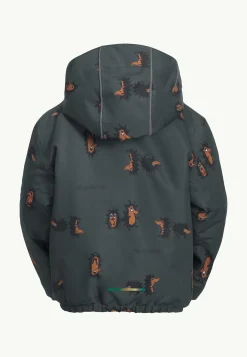 Voor- En Najaarsjacks/-Jassen|Winterjacks|Jack Wolfskin Gleely 2l Ins Print Jkt K