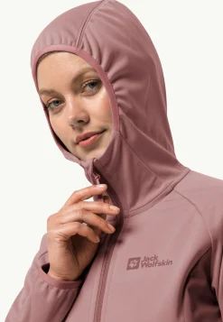 Wandelen|Voor- En Najaarsjacks/-Jassen|Jack Wolfskin Go Hike Softshell W