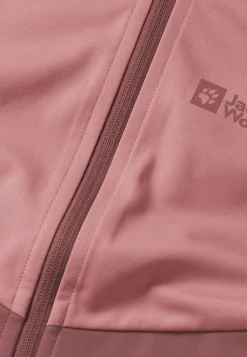 Wandelen|Voor- En Najaarsjacks/-Jassen|Jack Wolfskin Go Hike Softshell W