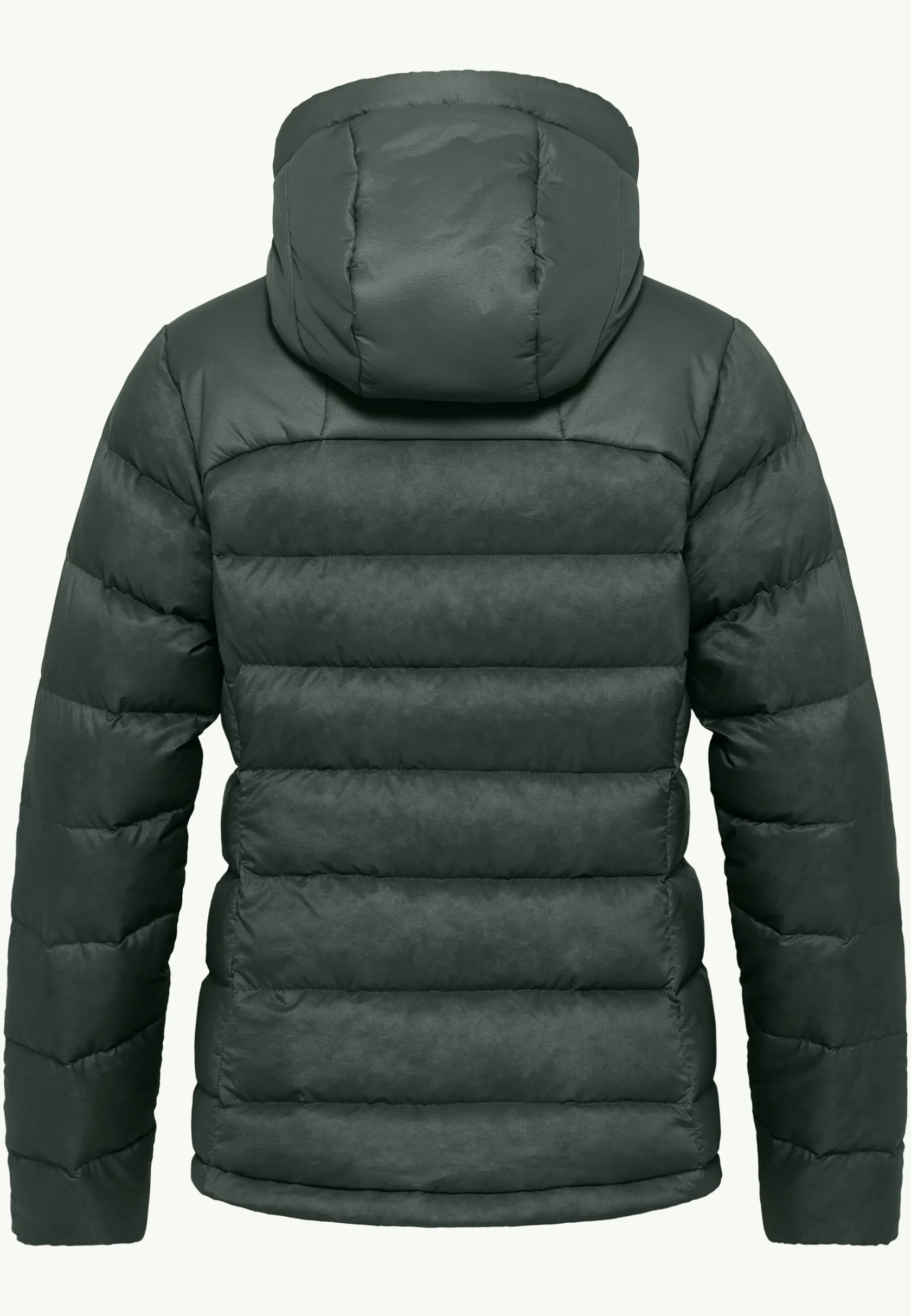 Isolatiejacks|Winterjacks|Jack Wolfskin Nebelhorn Down Hoody W Rds