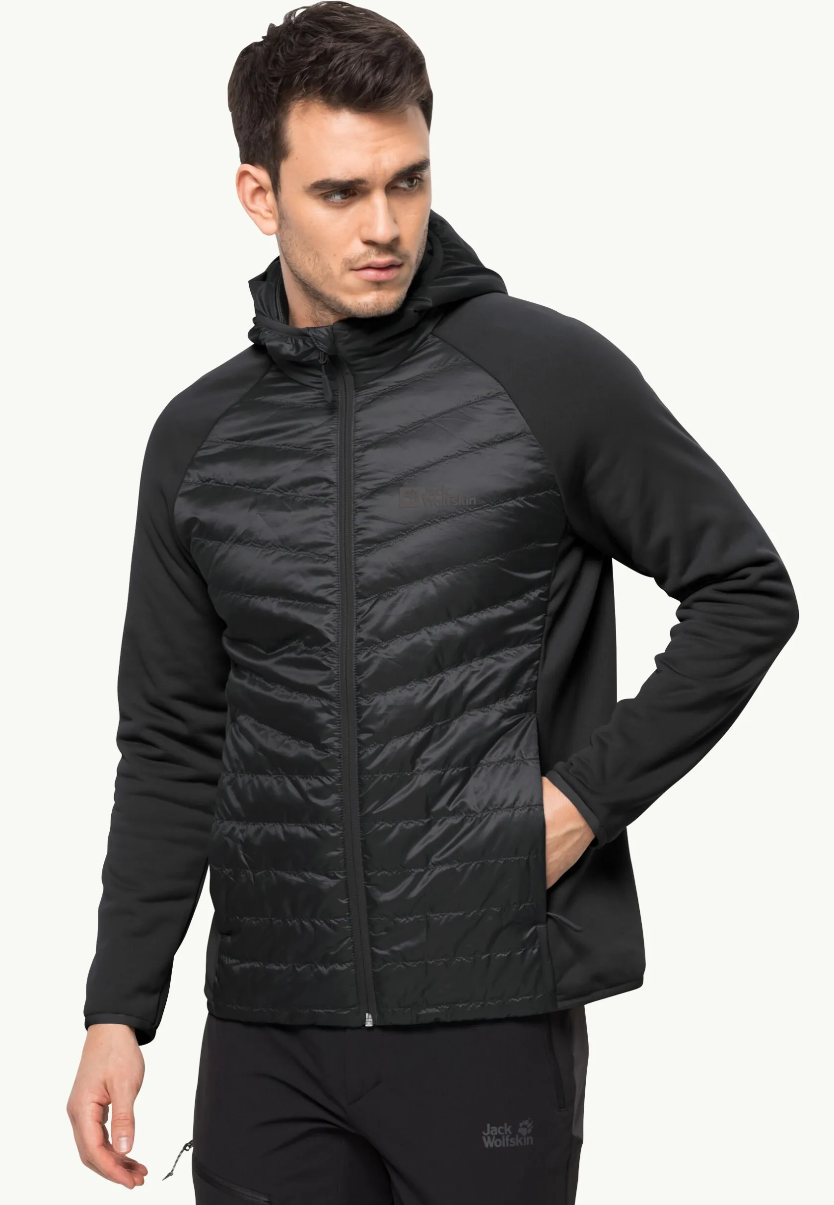 Wandelen|Voor- En Najaarsjacks/-Jassen|Jack Wolfskin Routeburn Pro Hybrid M