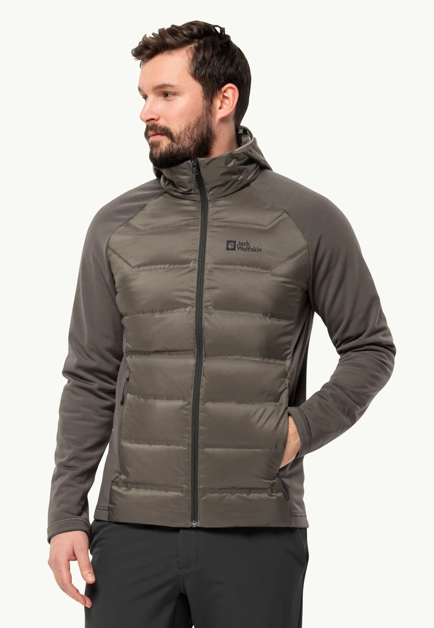 Wandelen|Voor- En Najaarsjacks/-Jassen|Jack Wolfskin Tasman Down Hybrid M