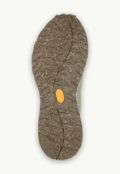 Multifunctionele Schoenen|Wandelschoenen|Jack Wolfskin Terraquest Low W