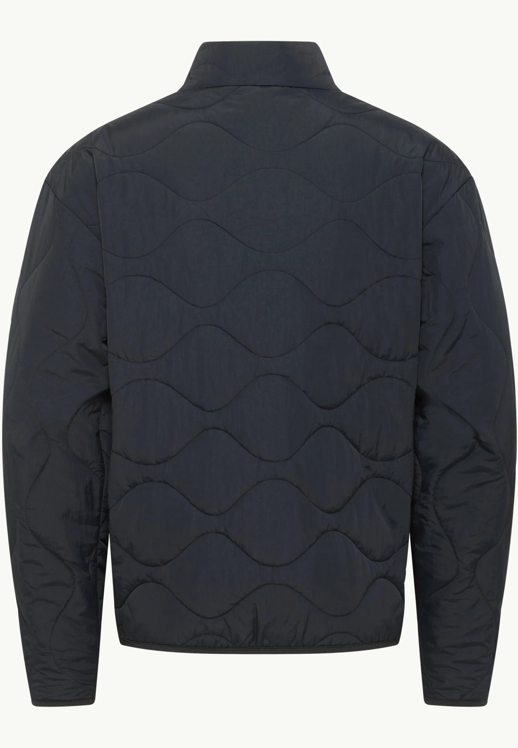 Voor- En Najaarsjacks/-Jassen|Winterjacks|Jack Wolfskin Wandersome Ins Jkt M